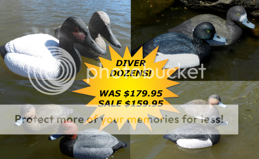 Diver decoys on sale! Divers and Mallards sold by the dozen again
